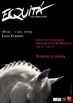 Chuva de estrelas em Lyon